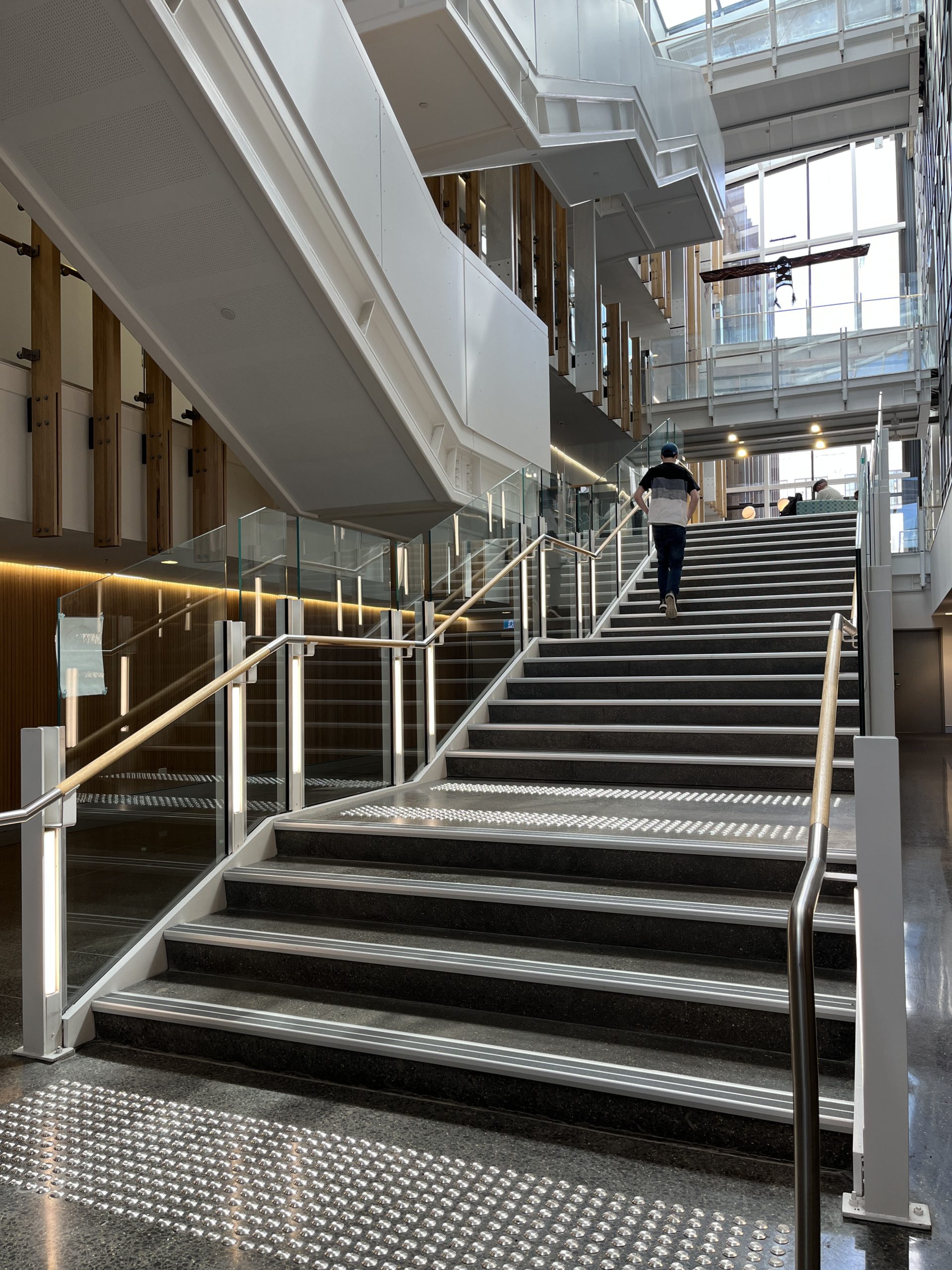 Otago Dentistry School Stairs